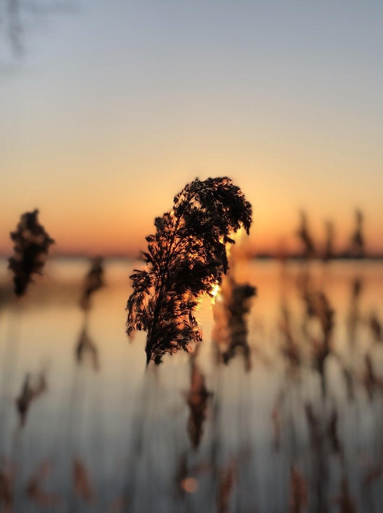 Photograph by Анатолий Андреев