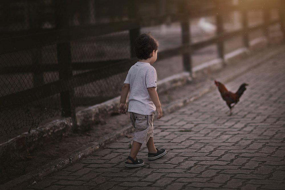 Фотография автора Meg Leite