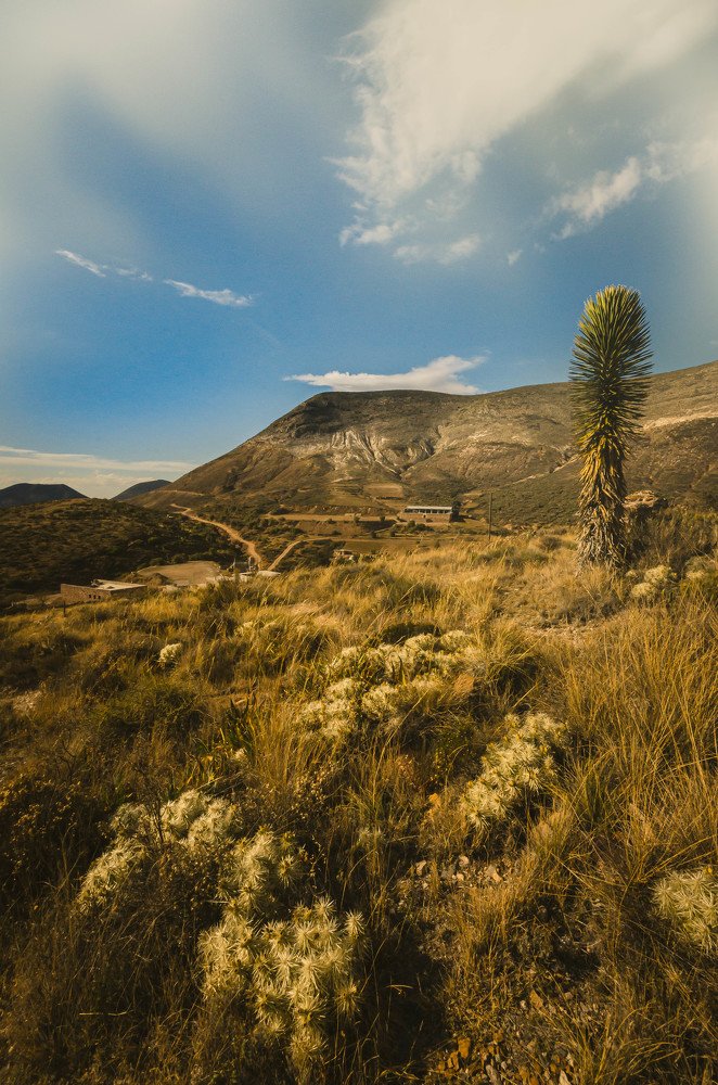 Photograph by Francisco Flores