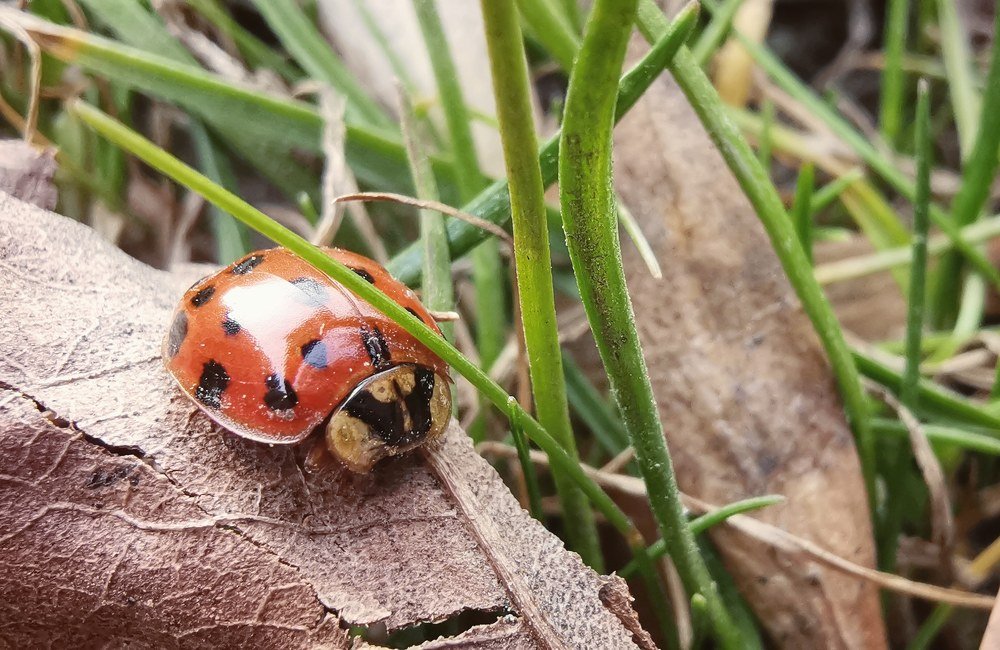 Photograph by Ксения Супрун