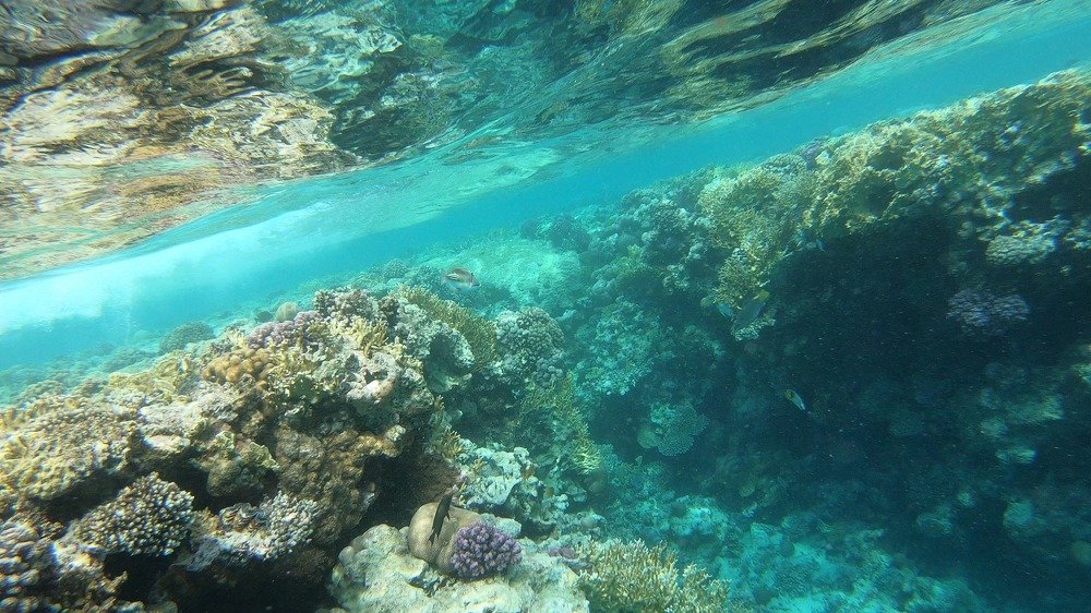 Photograph by Сергей Рулевский