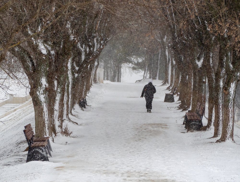 Photograph by Владимир Перепечаев