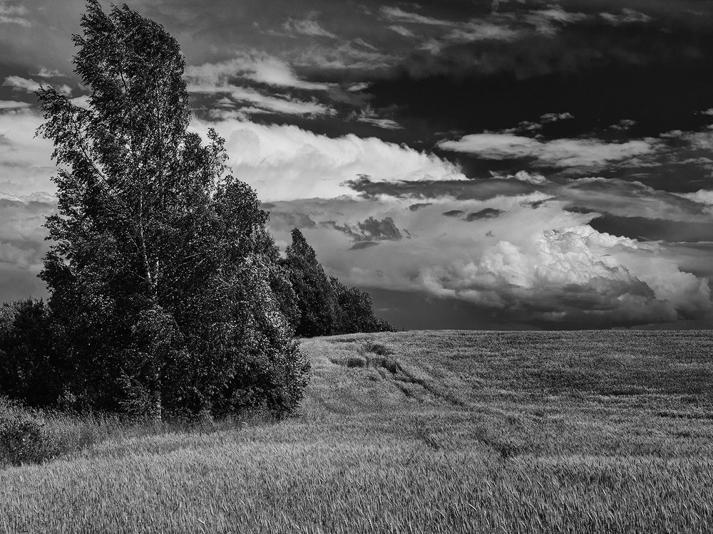 Photograph by Владимир Перепечаев