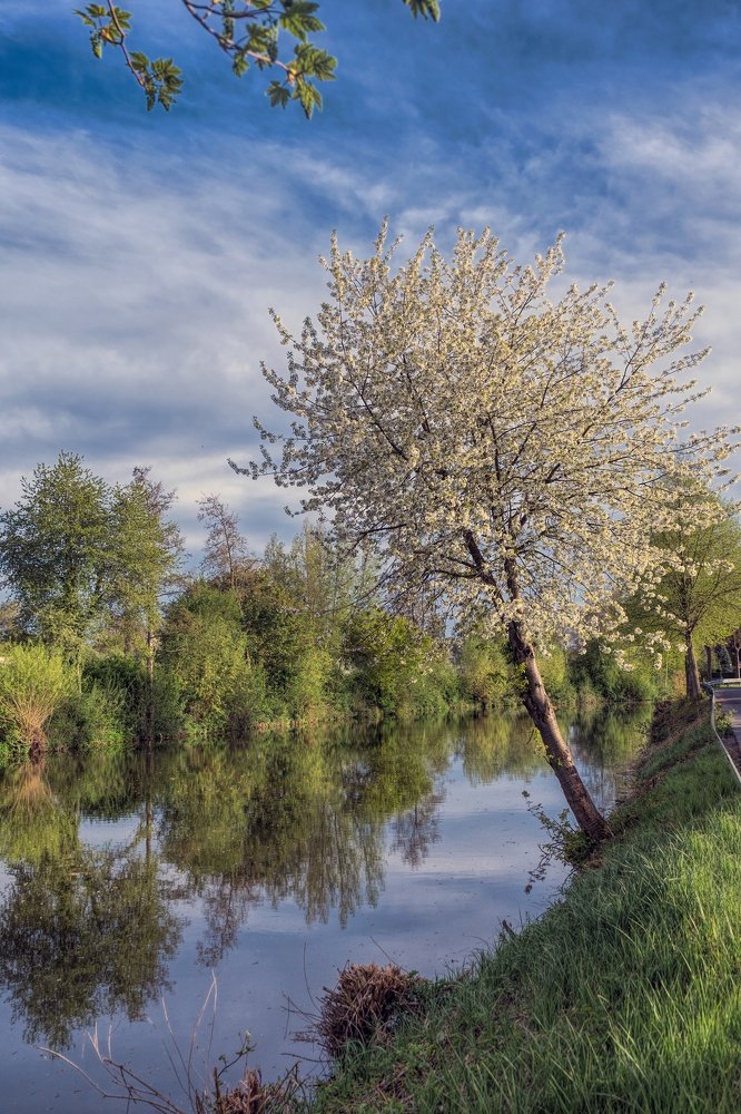 Красавица у зеркала.