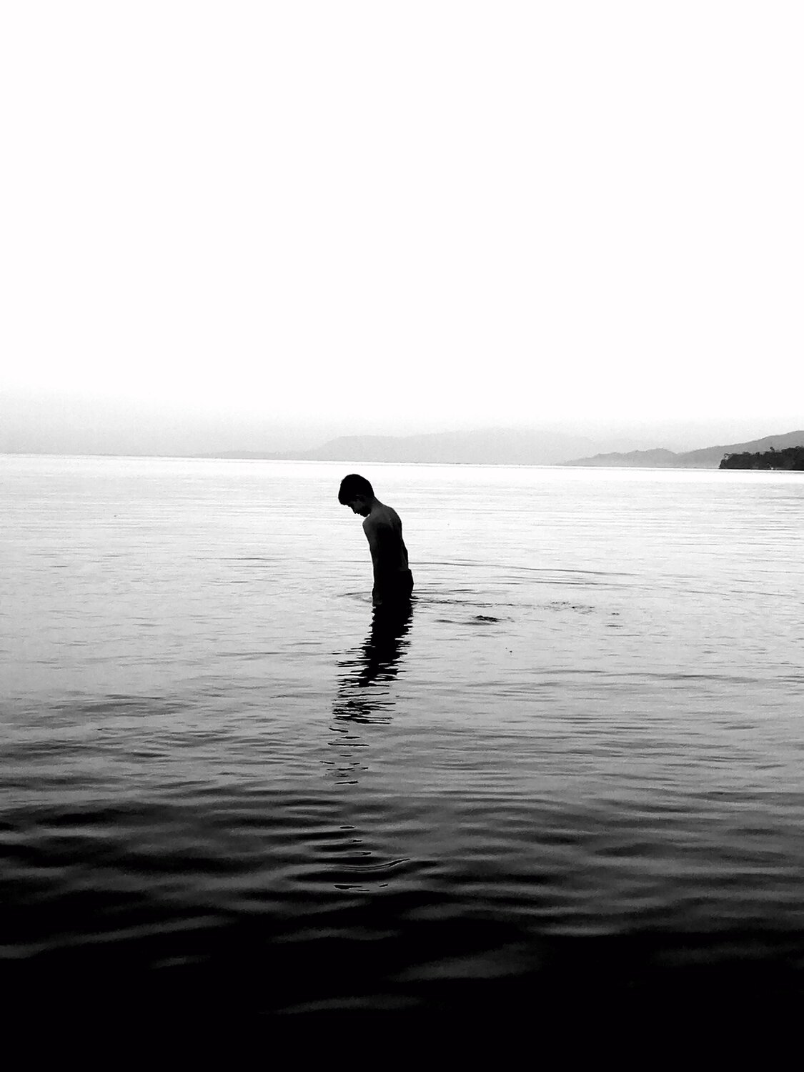 Photo #4459519