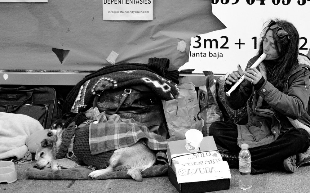 El perro y la Falutista de la Calle Preciados de Madrid