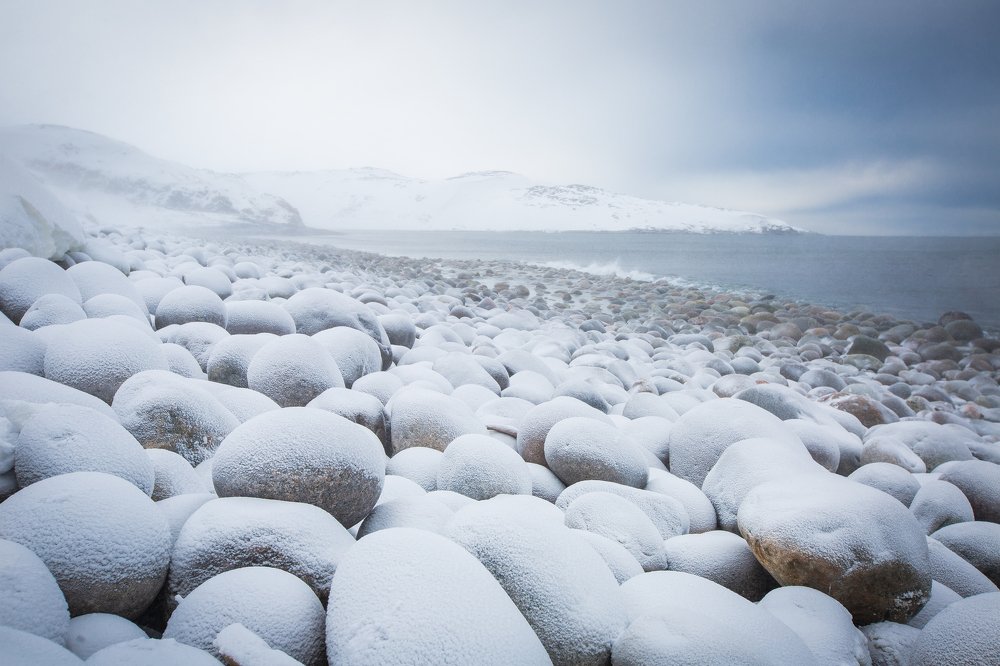 Photograph by Алексей Доценко