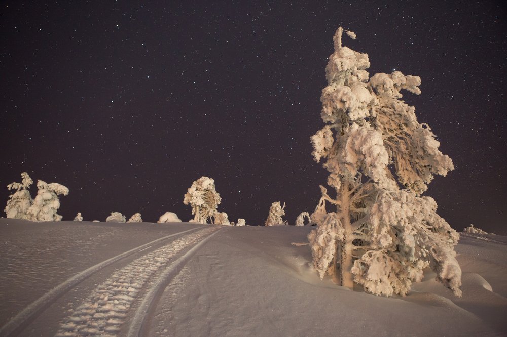 Фотография автора Алексей Новиков