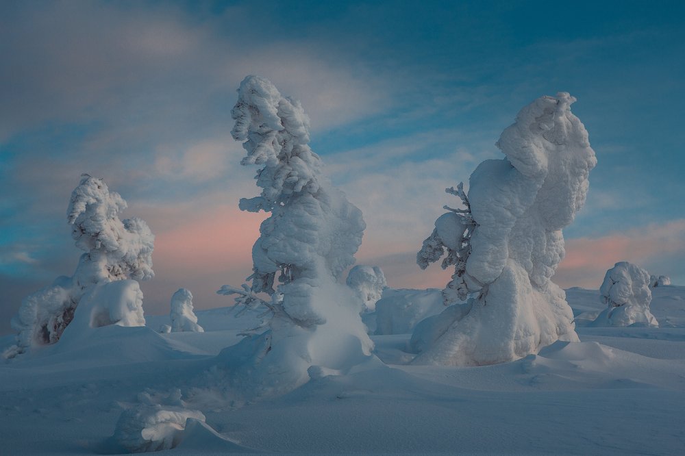 Фотография автора Алексей Новиков