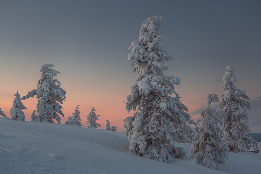 Фотография автора Алексей Новиков