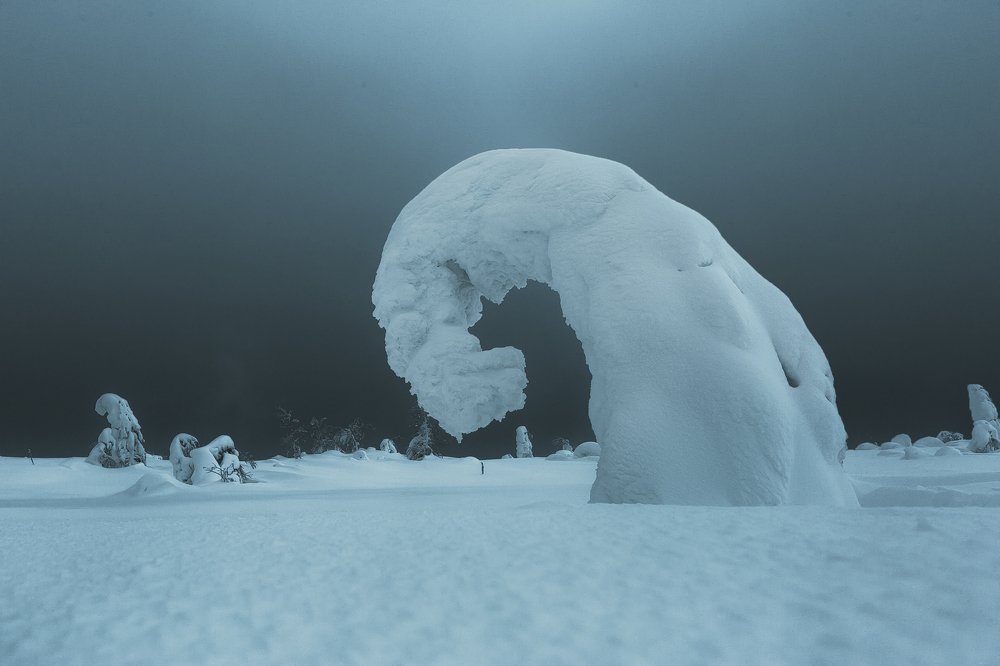 Фотография автора Алексей Новиков