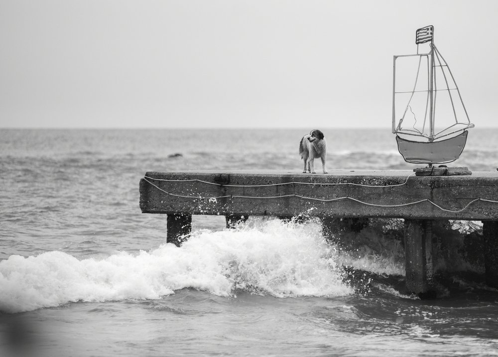 Photograph by Marina Lypiridou