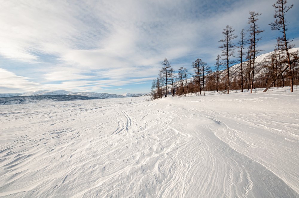 Photograph by Михаил Агульник