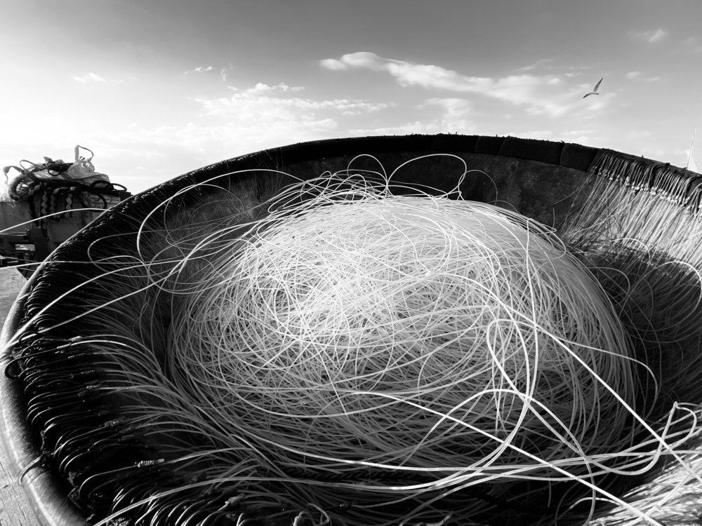 Photograph by Олег Стратиенко