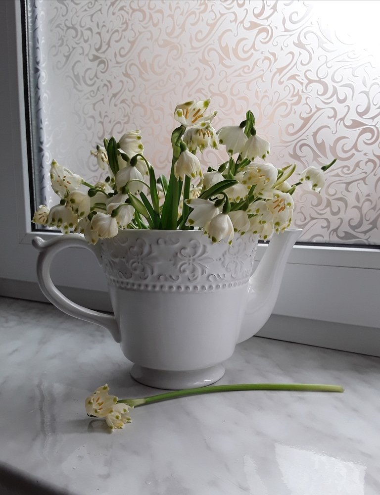 Photograph by Елена Шерман