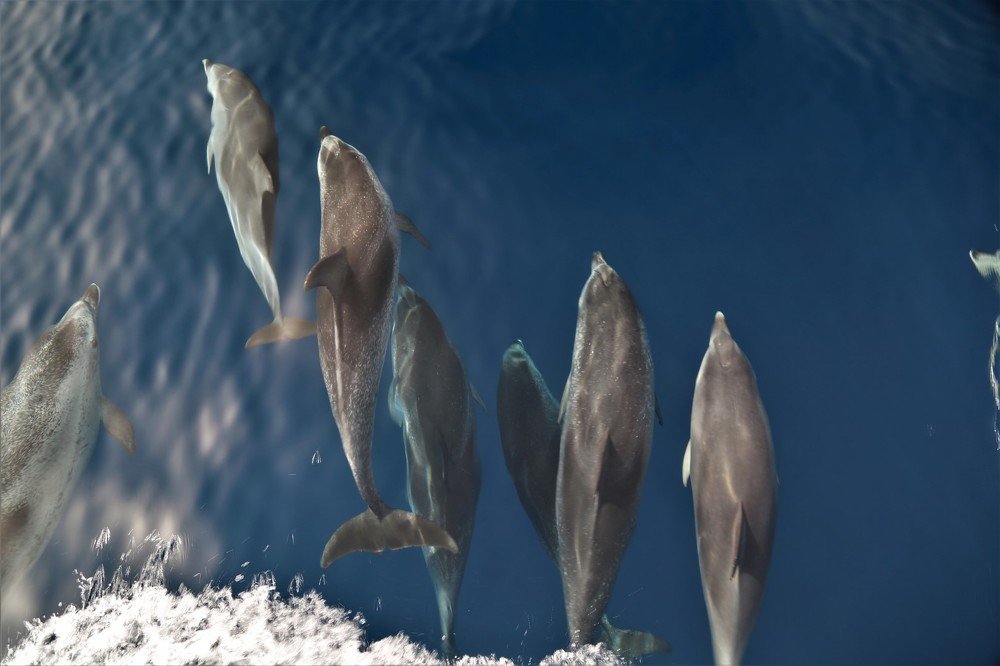 Photograph by Андрей Антонов