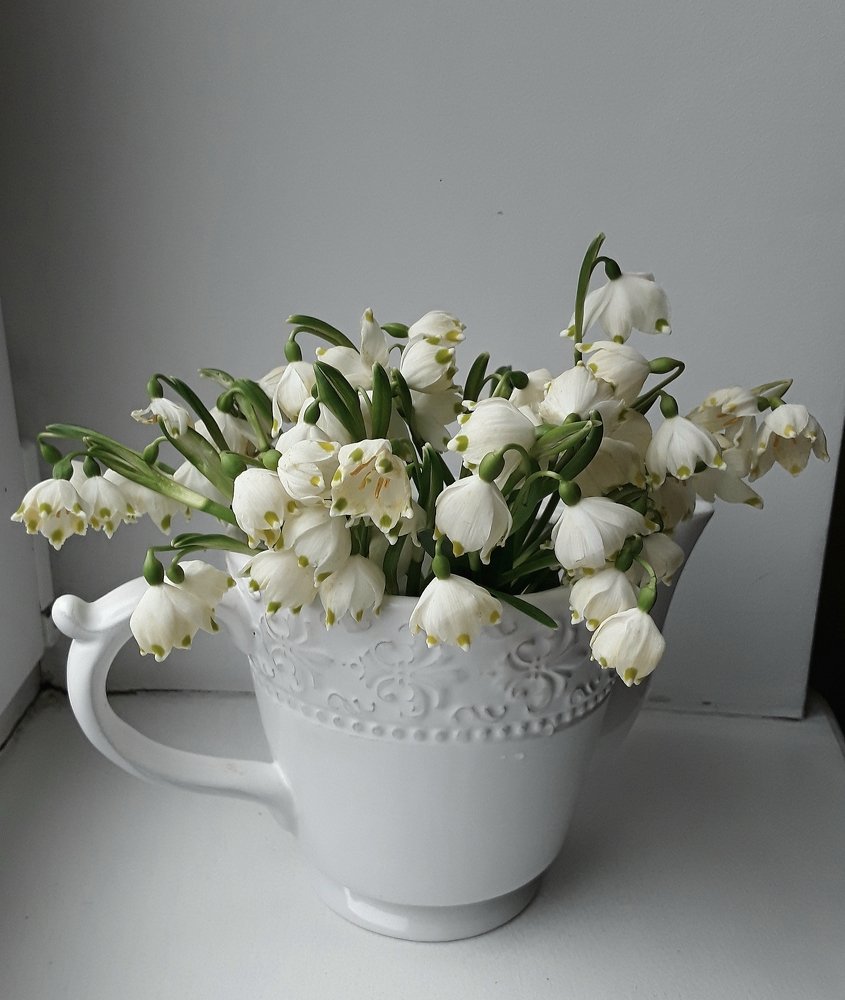 Photograph by Елена Шерман