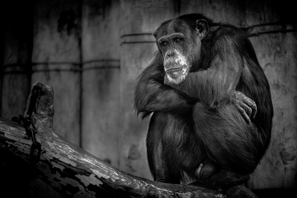 Photograph by Edina Muhari