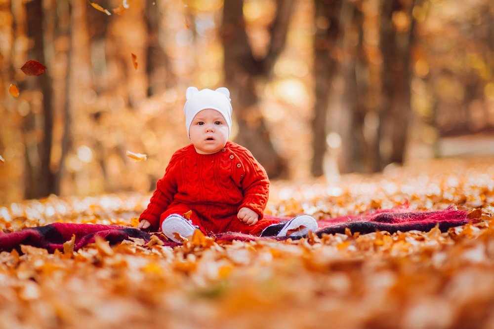 Photograph by Александр Богомазов