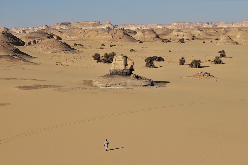 Photograph by Андрей Телибаев