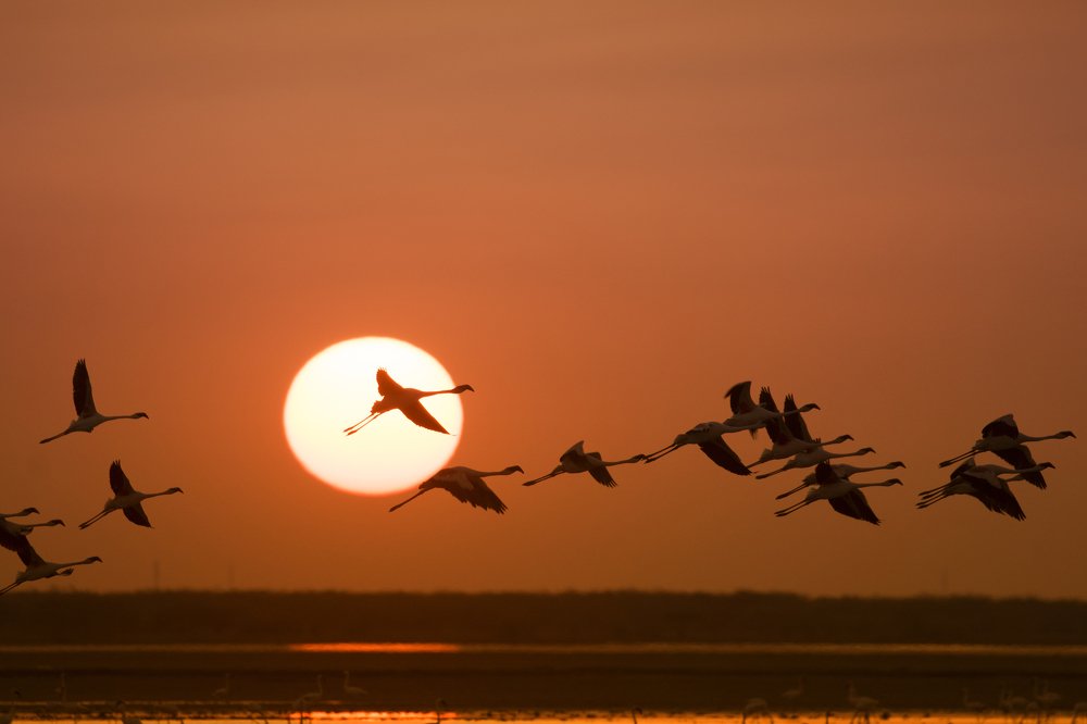 Photograph by Kaushik Ghelani