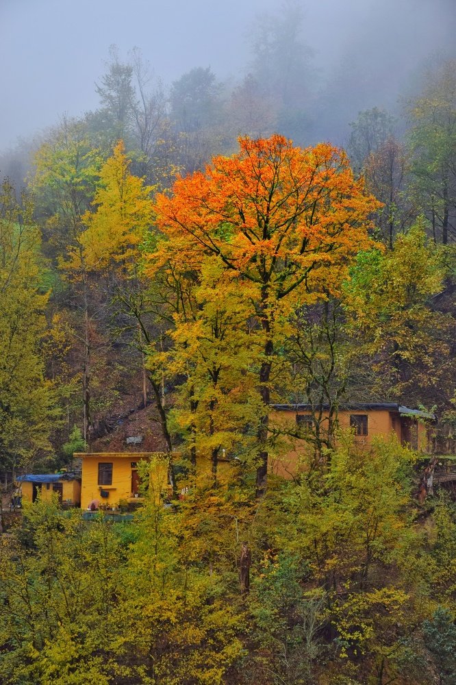 Photograph by Mohammadreza Sabetikhah masuleh