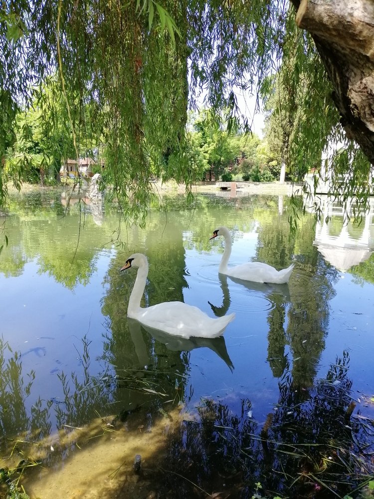 Photograph by Юлия Зеленева