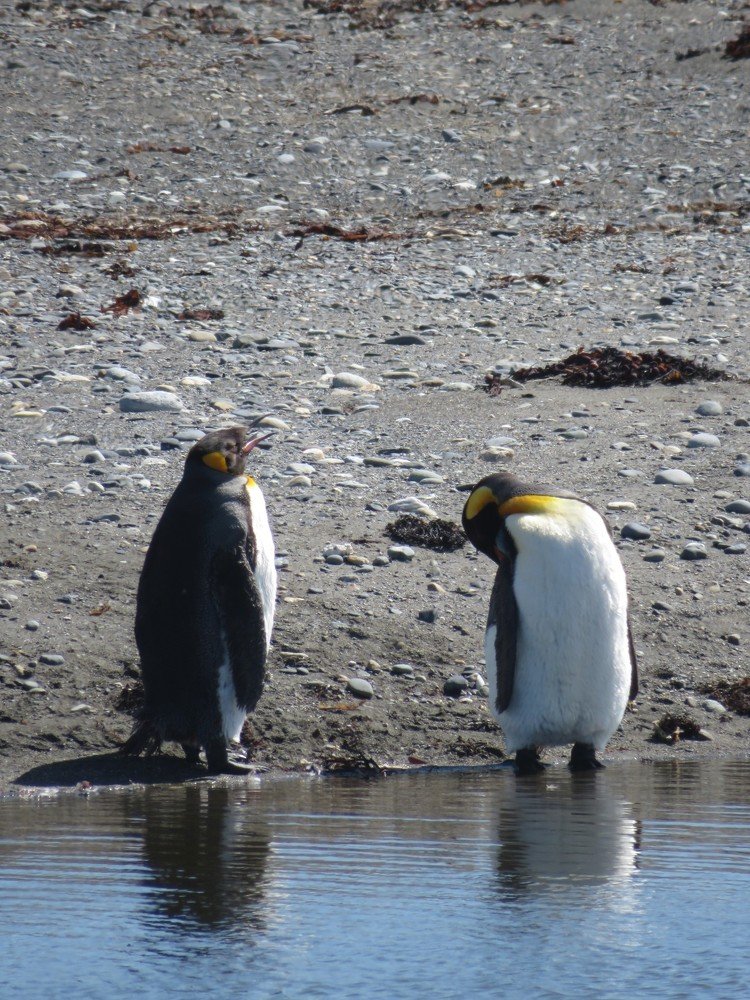 Photograph by Марина Осипова