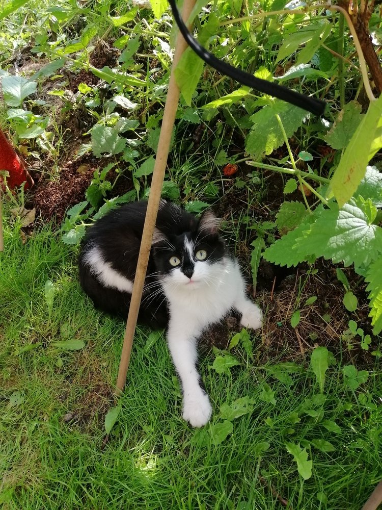 Photograph by Юлия Зеленева