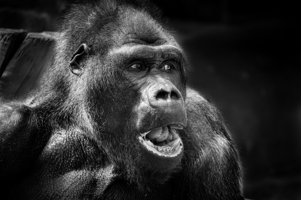 Photograph by Edina Muhari