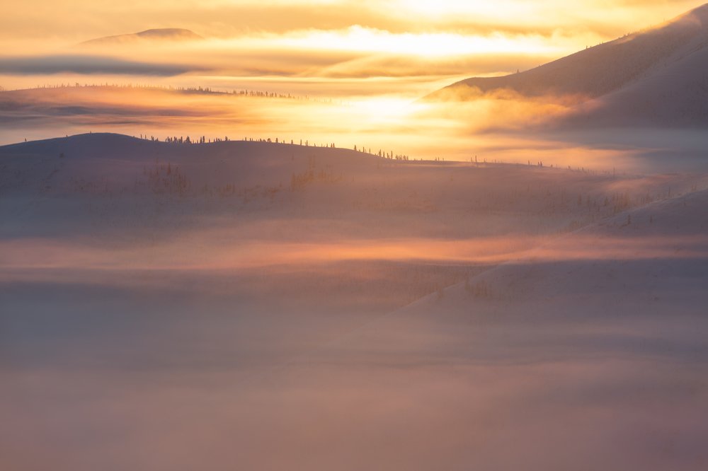 Фотография автора Гасич Татьяна