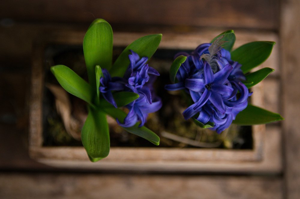 Photograph by Stefania Pelosi