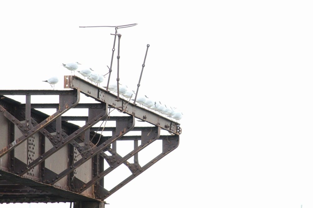 Photograph by Nikolas mitrousias