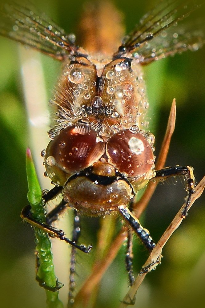 В дождливый день