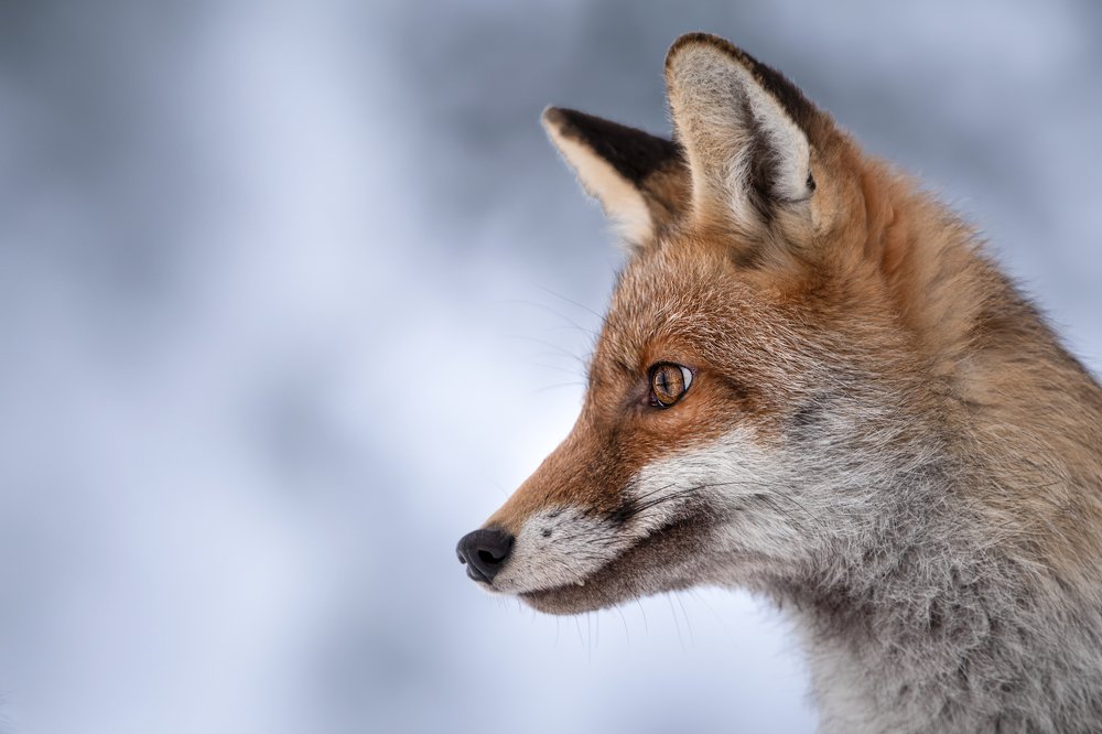 Photograph by Ve Shandor