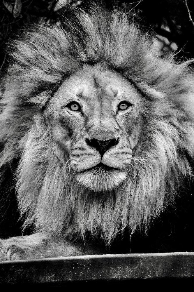 Photograph by Sergio alvarez tostado