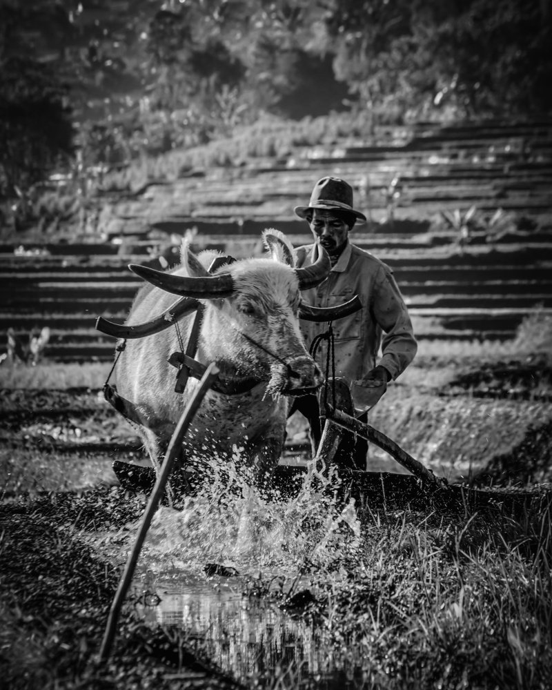 Photograph by Wandy nurwandi