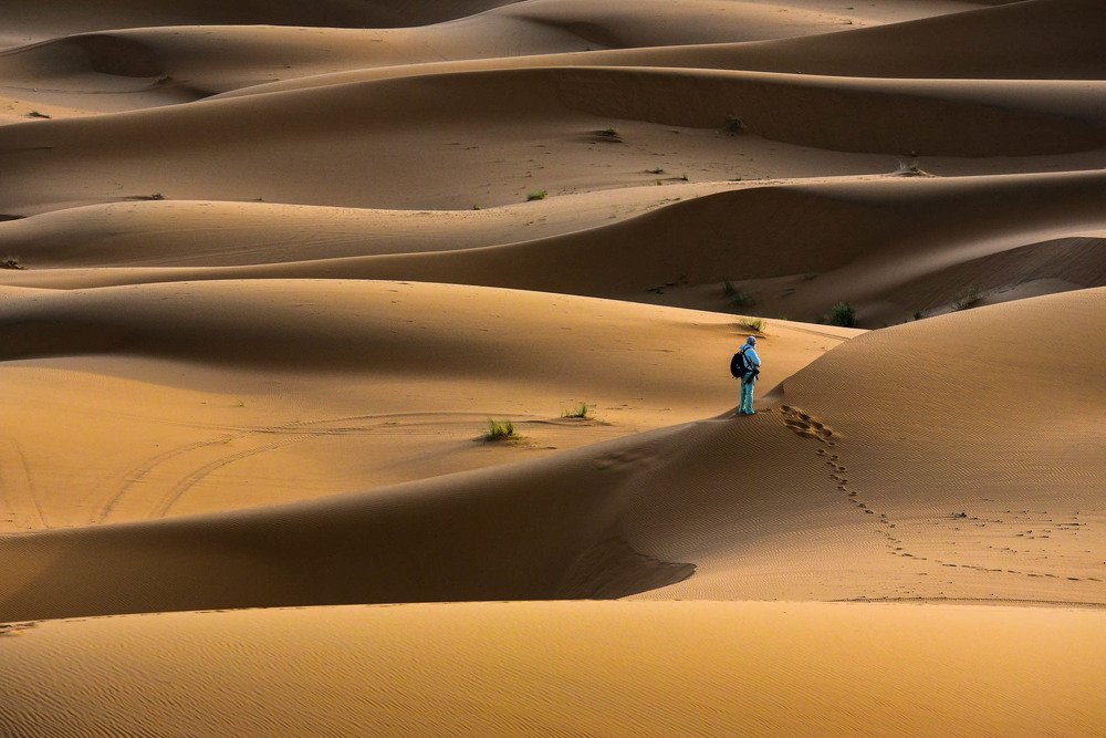 В пустыне Сахара