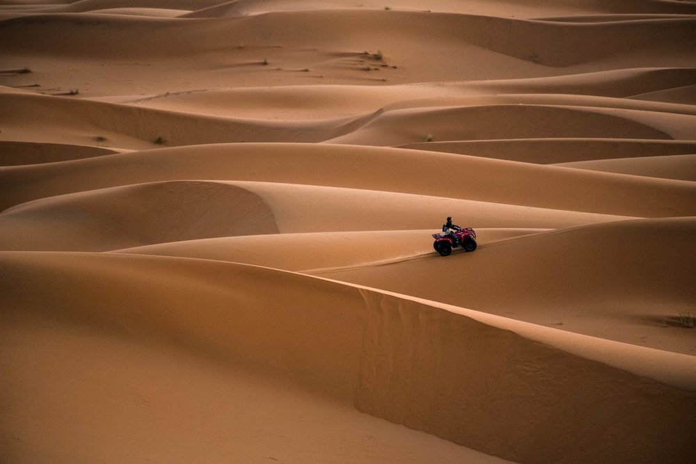 Пустынный гонщик