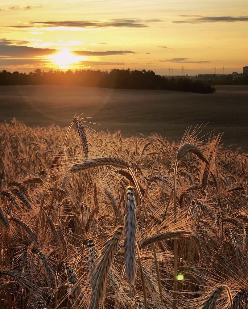 Photograph by Анатолий Андреев