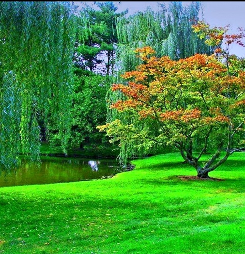 Photograph by Gönül Demirel