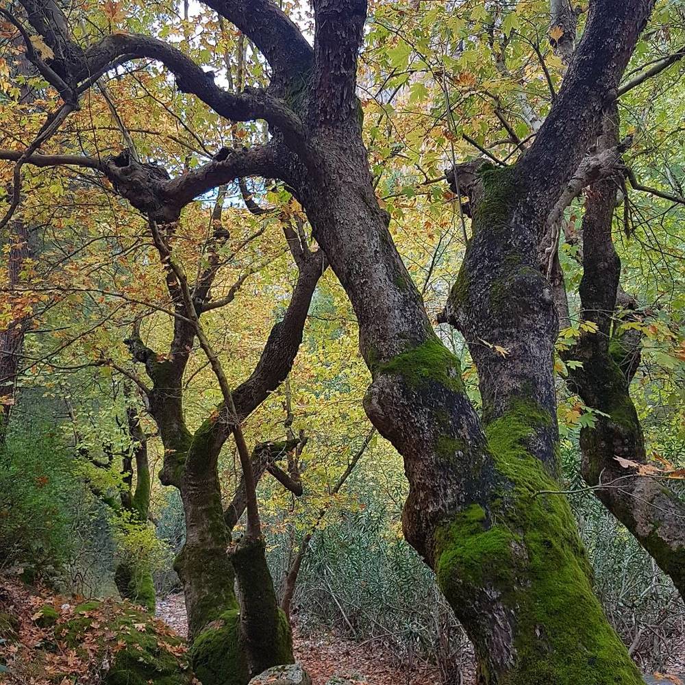 Photograph by Gönül Demirel