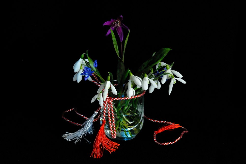 Фотография автора Teglaş Marin