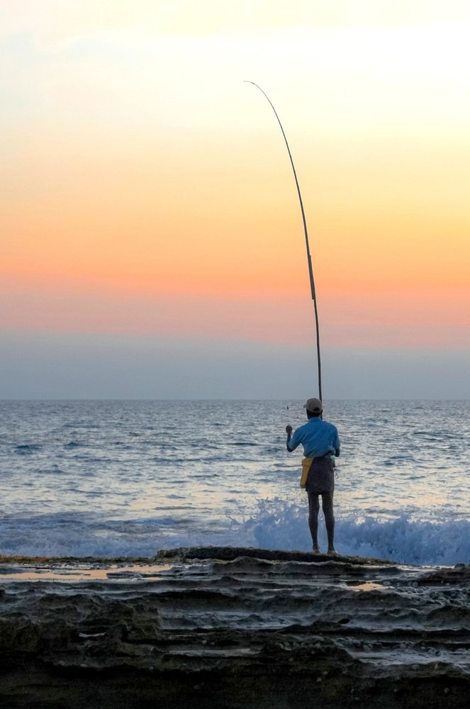 Photograph by Niroshan Wijesinghe