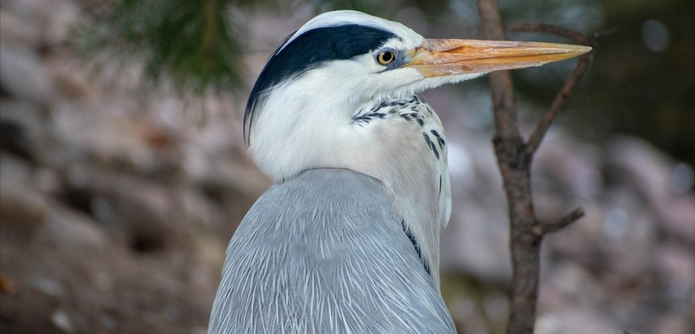 Photograph by Александр Глебов