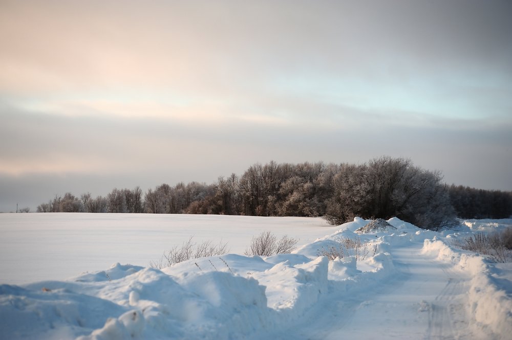 Photograph by  Александр