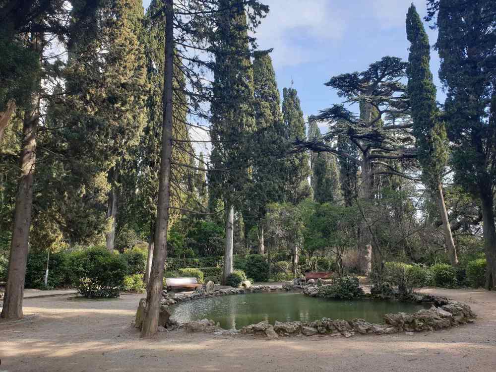 Photograph by Надежда