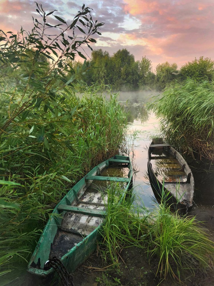 Photograph by Анатолий Андреев