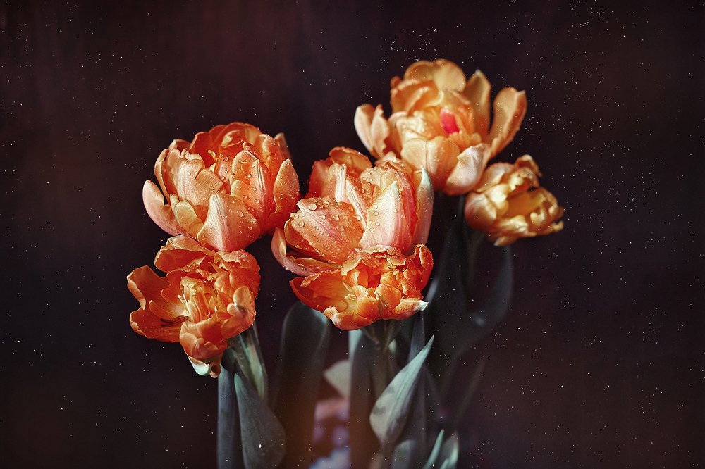 Фотография автора Наталья Ходюк