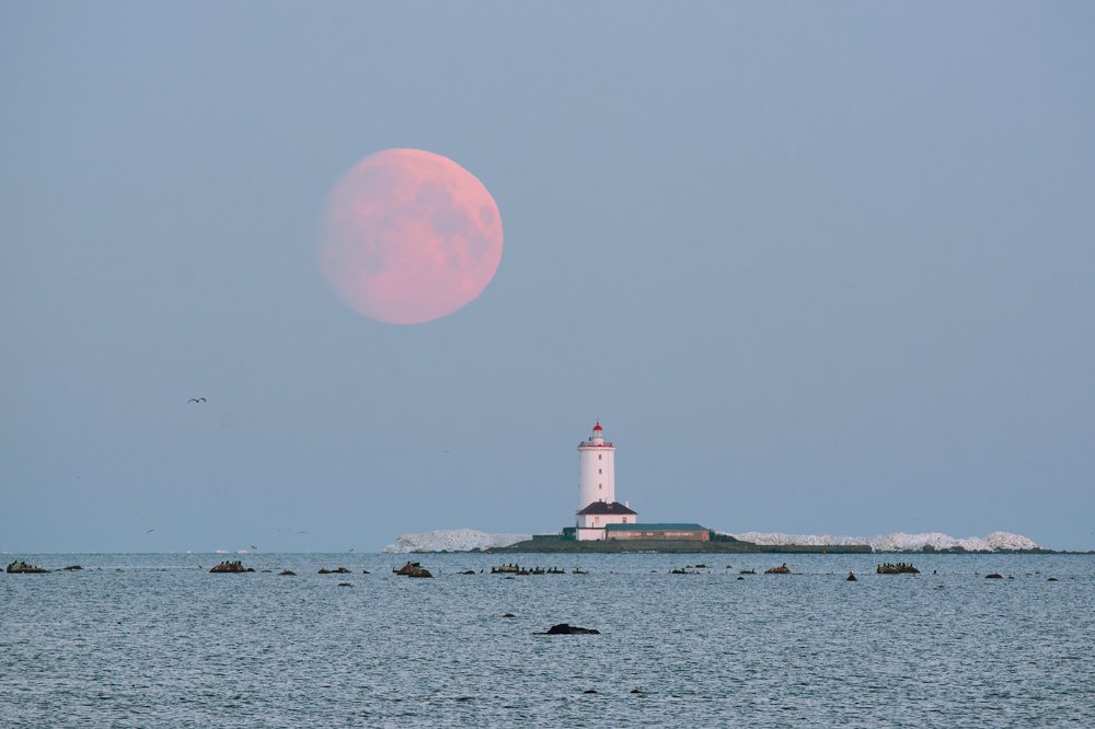 Photograph by Михайлов Иван